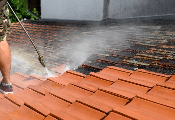 Best Roof Pressure Washing  in Suitland, MD