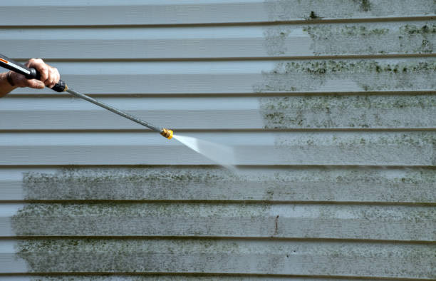 Local Pressure Washing Services in Suitland, MD
