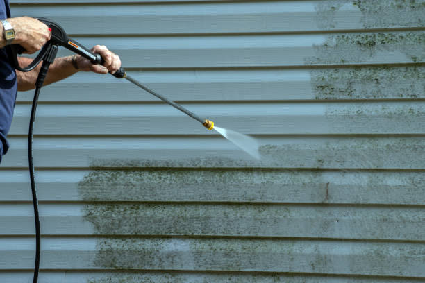 Best Deck Cleaning Services  in Suitland, MD