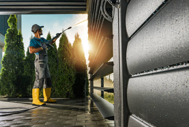Best Local Pressure Washing Services  in Suitland, MD